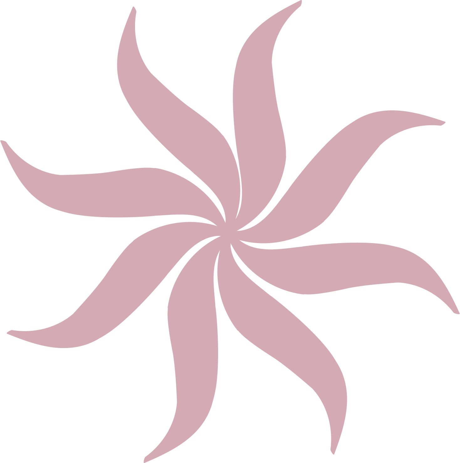 Decoración 1